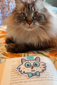 Lynx Point Cat ~ Magnetic Bookmark