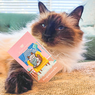 Books + Chill ~ Cute cat enamel in by My Cat Is People