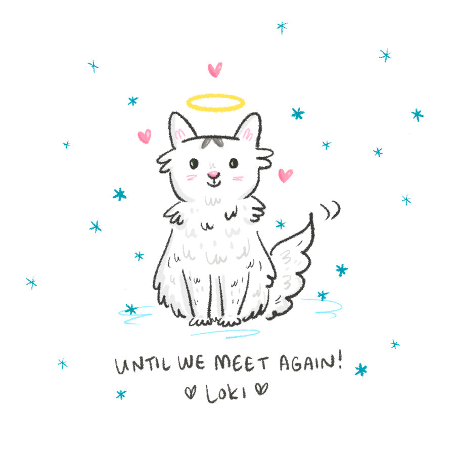 Custom drawn purrfect doodle pet cat portrait by My Cat Is People
